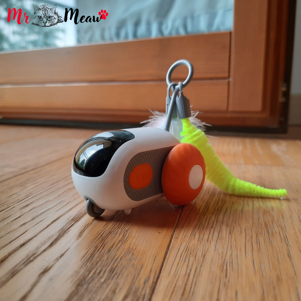 Squiky Car Toy™- Giocattolo per Gatti